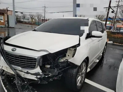 2015 Kia Carnival KNAMC81ABFS051941 VIN:KNAMC81ABFS051941