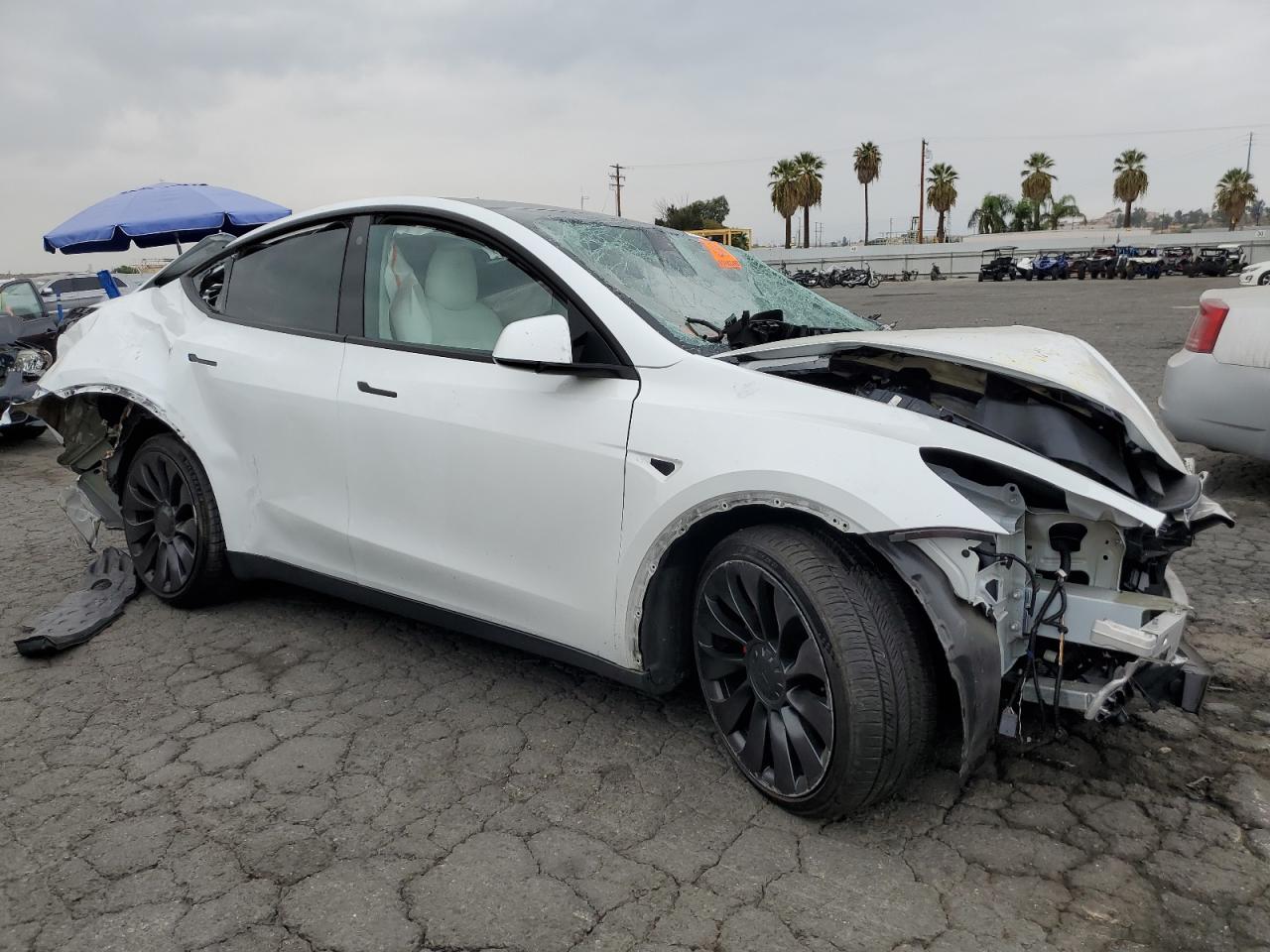 2022 TESLA MODEL Y  VIN:7SAYGDEFXNF350914