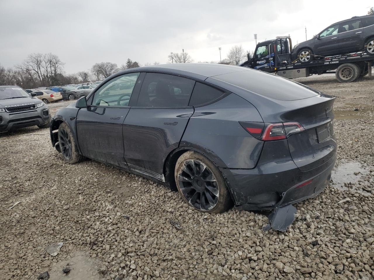 2024 TESLA MODEL Y  VIN:7SAYGDEEXRF988853