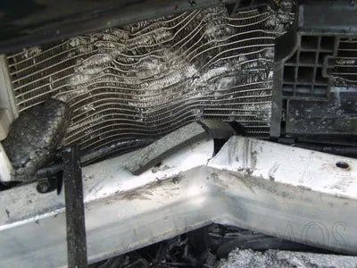 2017 Hyundai Ioniq KMHC851CGJU060281 VIN:KMHC851CGJU060281