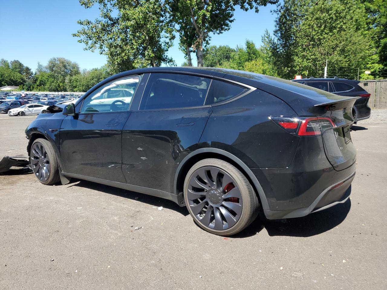 2024 TESLA MODEL Y  VIN:7SAYGDEF1RF061684