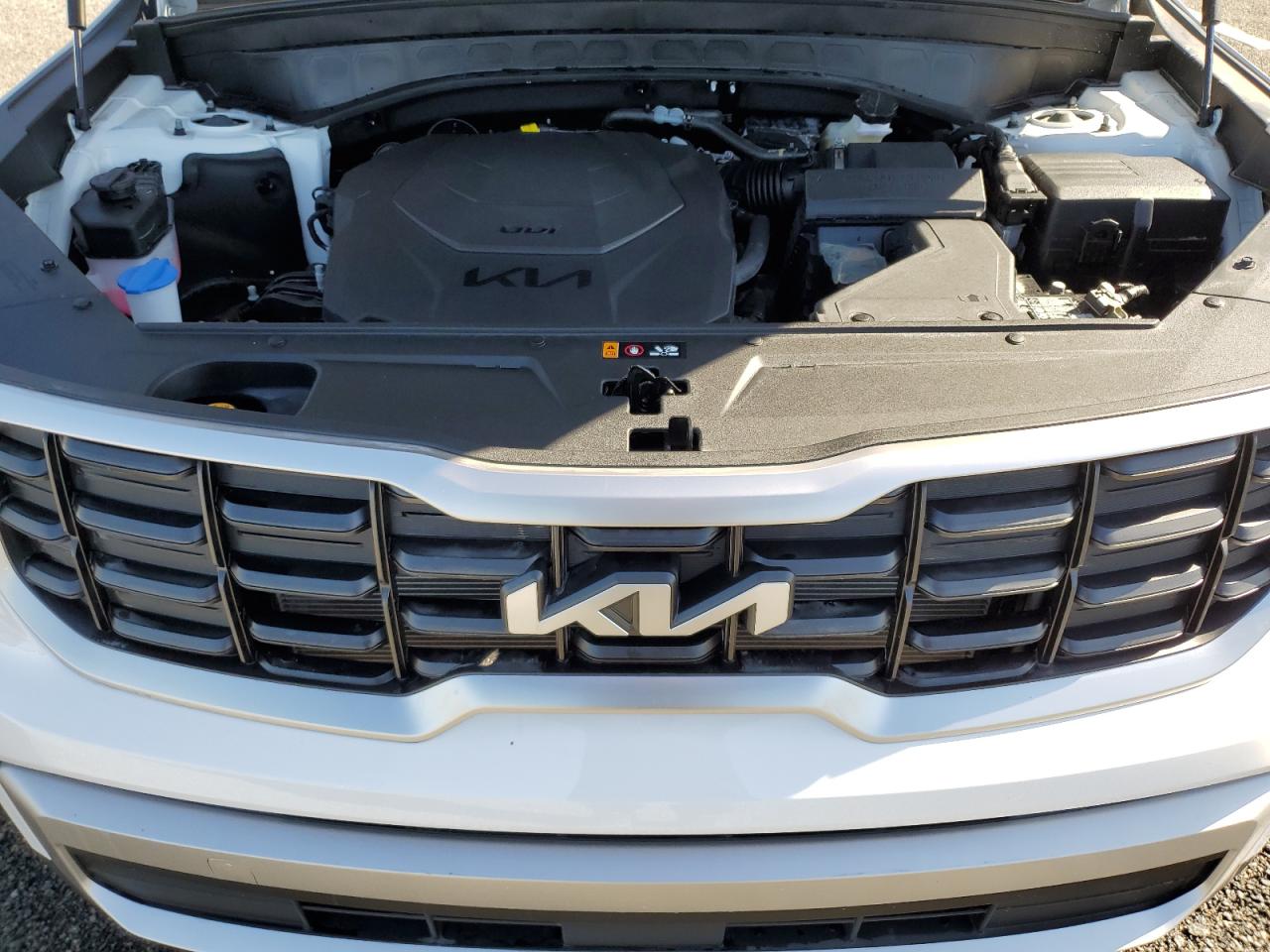 2024 KIA TELLURIDE S VIN:5XYP64GC8RG553328