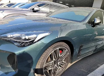 2022 Kia Stinger KNAE551CDNS116864 VIN:KNAE551CDNS116864