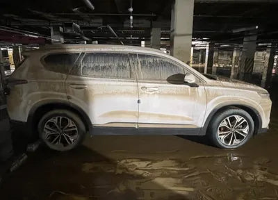 2019 Hyundai Santa FE KMHS281BBKU062570 VIN:KMHS281BBKU062570