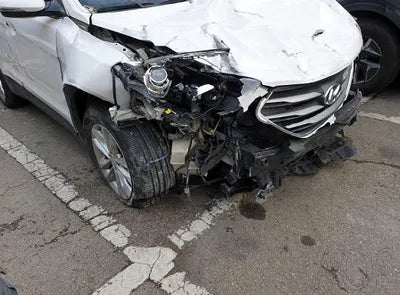 2018 Hyundai Santa FE KMHSW81UBJU793209 VIN:KMHSW81UBJU793209