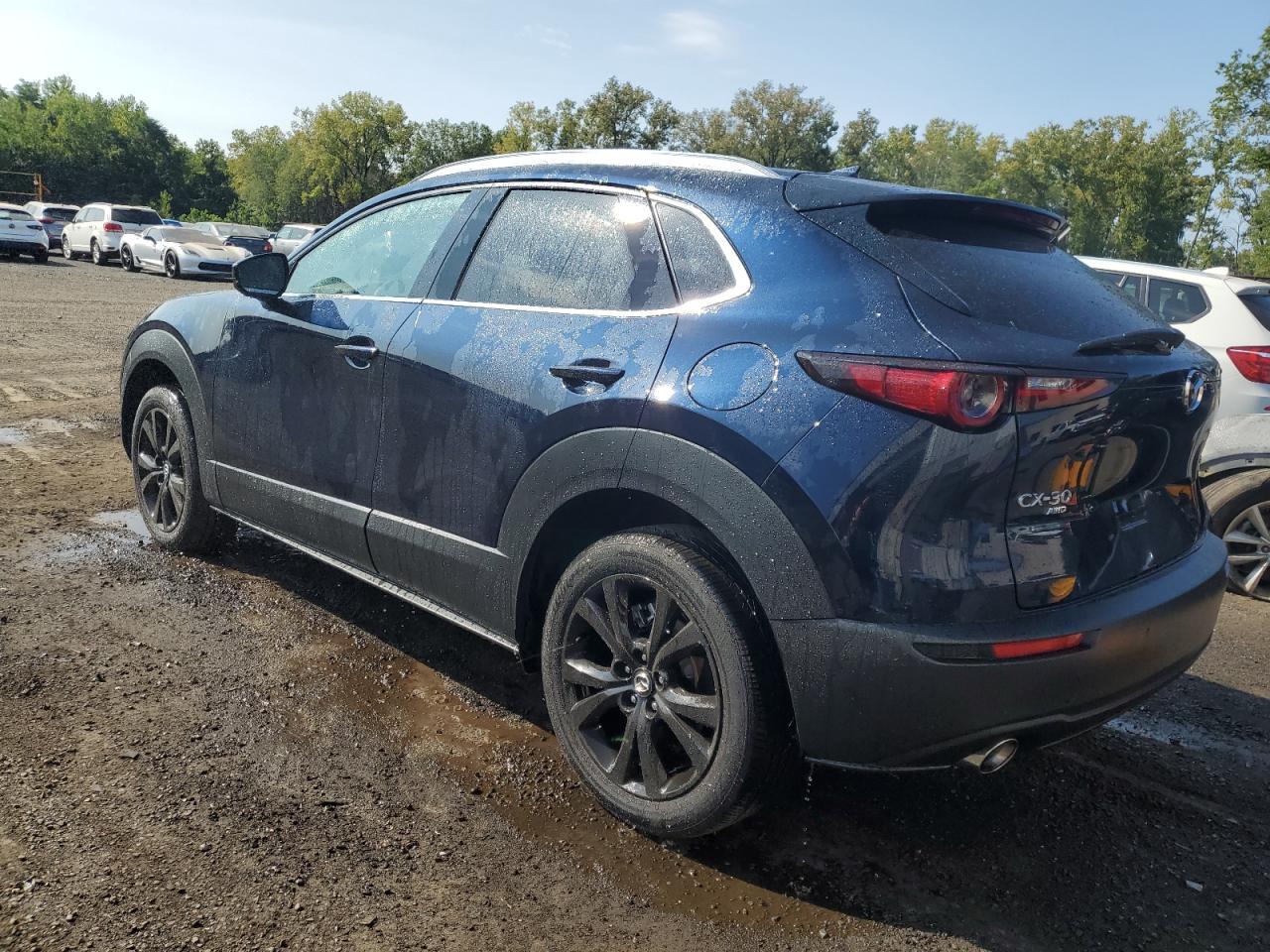 2023 MAZDA CX-30 PREMIUM PLUS VIN:3MVDMBEY8PM564257