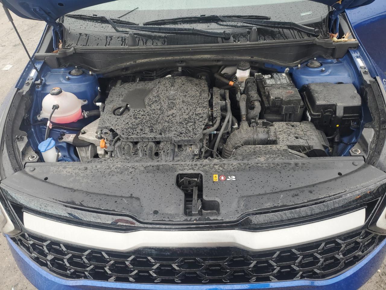 2023 KIA SPORTAGE X LINE VIN:5XYK6CAFXPG071741