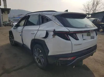 2021 Hyundai Tucson KMHJE811BMU009800 VIN:KMHJE811BMU009800