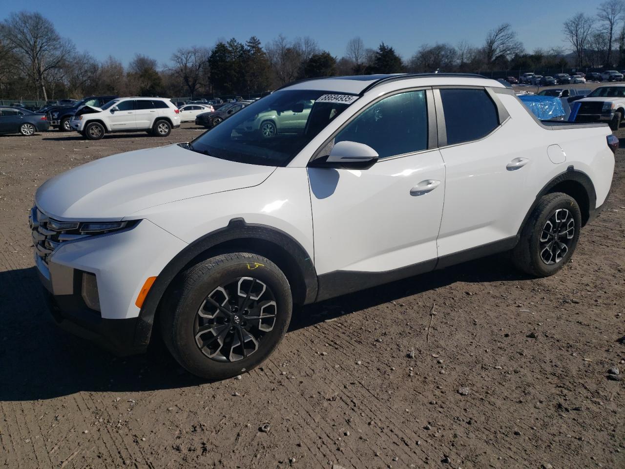 2023 HYUNDAI SANTA CRUZ SEL PREMIUM VIN:5NTJDDAF5PH075035