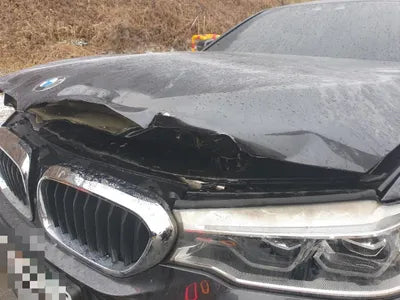 2020 BMW 530 WBAJR5105LWW73970 VIN:WBAJR5105LWW73970