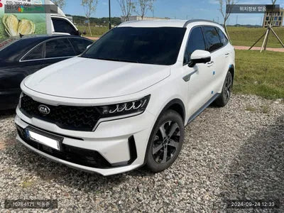 2021 Kia Sorento KNARM81FGMA112905 VIN:KNARM81FGMA112905