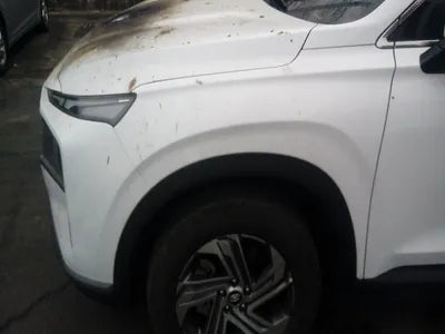 2021 Hyundai Santa FE KMHS381HGMU336284 VIN:KMHS381HGMU336284