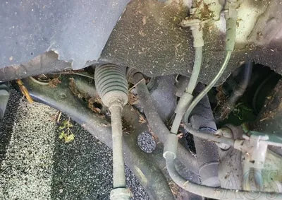 2015 Volkswagen Golf WVWZZZAUZFW190384 VIN:WVWZZZAUZFW190384