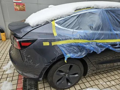 2020 Tesla Model 3 5YJ3E1EB7LF725423 VIN:5YJ3E1EB7LF725423