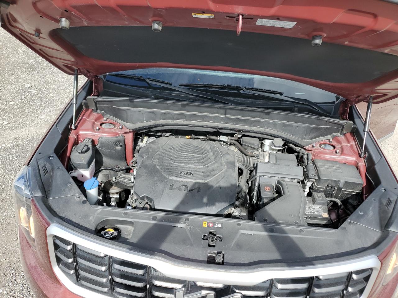 2024 KIA TELLURIDE S VIN:5XYP64GC8RG425963