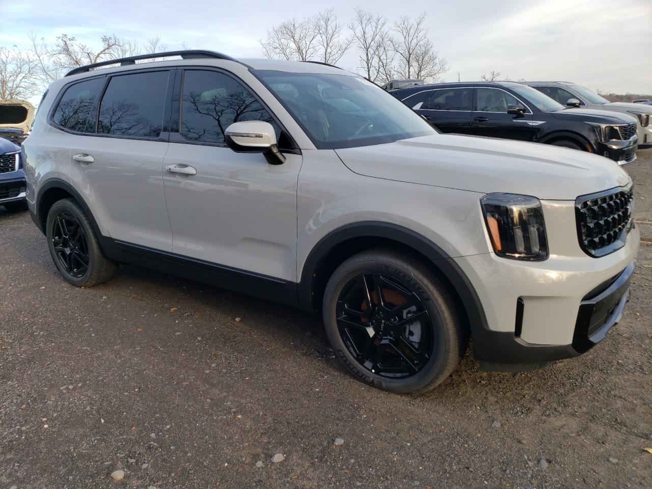 2024 KIA TELLURIDE EX VIN:5XYP3DGC3RG550104
