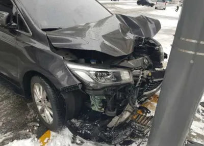 2020 Kia Carnival KNAME81ABLS641559 VIN:KNAME81ABLS641559