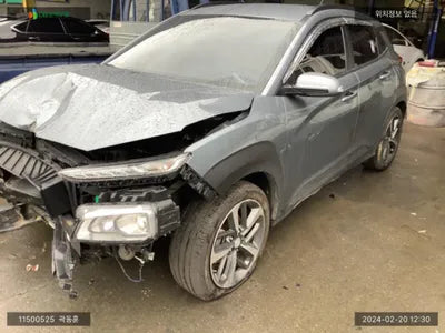 2018 Hyundai Kona KMHK3816GJU096058 VIN:KMHK3816GJU096058