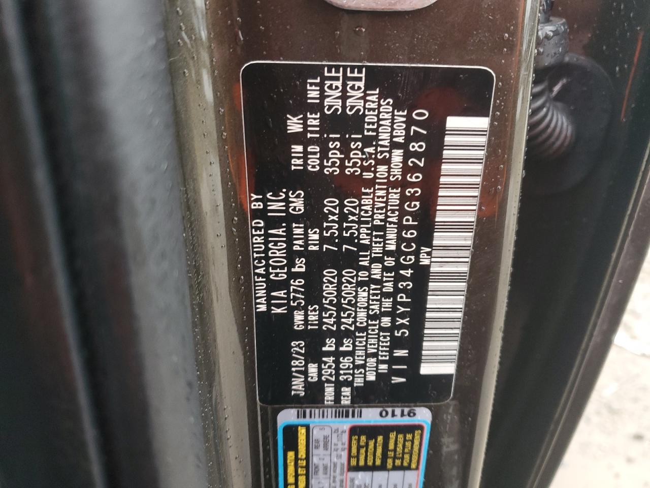 2023 KIA TELLURIDE EX VIN:5XYP34GC6PG362870