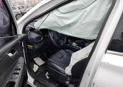 2020 Hyundai Santa FE KMHS281CDLU225449 VIN:KMHS281CDLU225449