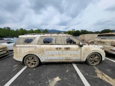 2021 Kia Carnival KNANB81BBNS140421 VIN:KNANB81BBNS140421