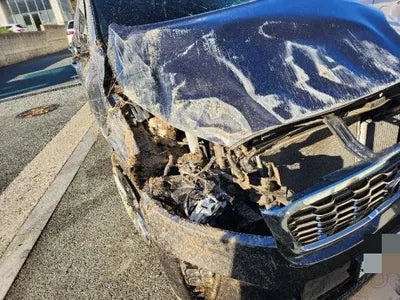 2019 Kia Sorento VIN: