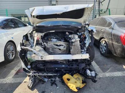 2020 Hyundai Santa FE KMHS381HGMU323976 VIN:KMHS381HGMU323976