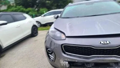 2016 Kia Sportage 981KMKNAPM813BGK0 VIN:981KMKNAPM813BGK0