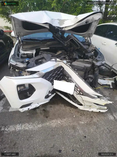 2019 Hyundai Santa FE KMHS381ABLU193107 VIN:KMHS381ABLU193107