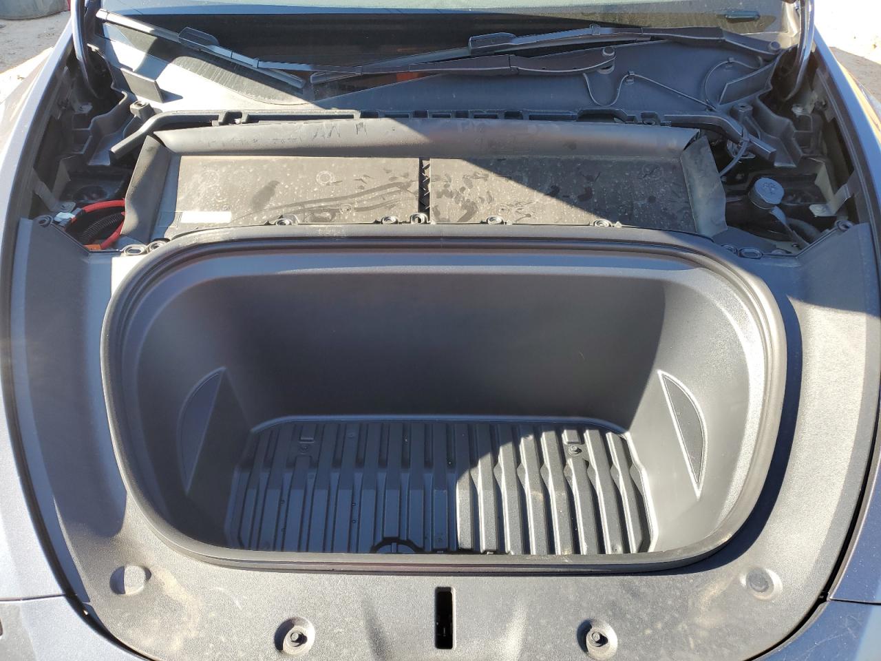 2023 TESLA MODEL Y  VIN:7SAYGDEE0PF884157