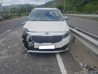 2015 Kia Carnival KNAMC81ABGS095596 VIN:KNAMC81ABGS095596
