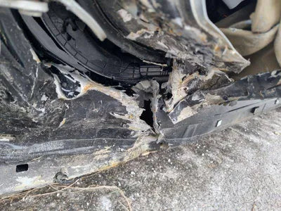 2020 Hyundai Santa FE 1KMHS281BBLU28875 VIN:1KMHS281BBLU28875