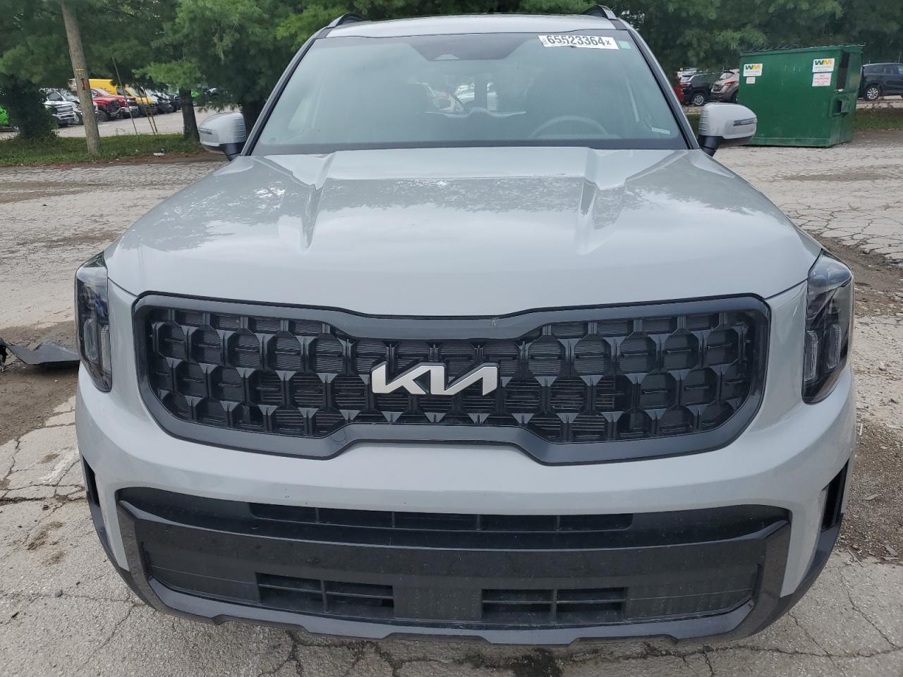 2024 KIA TELLURIDE EX VIN:5XYP3DGC8RG414602