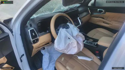 2020 Kia Sorento KNARK81GBMA009184 VIN:KNARK81GBMA009184