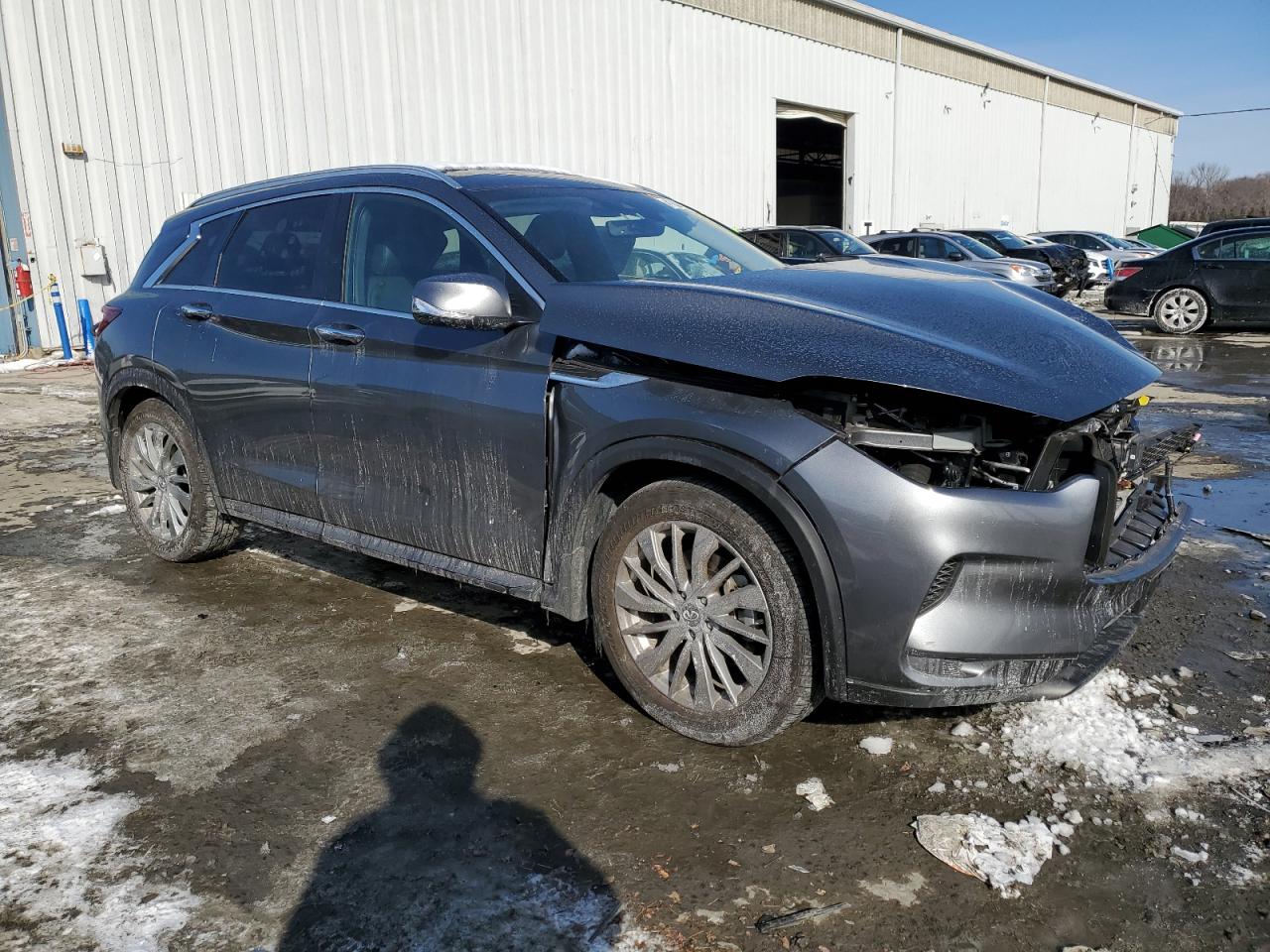 2023 INFINITI QX50 LUXE VIN:3PCAJ5BB4PF118142