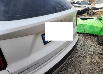 2023 Kia Sorento KNARH81BGPA194234 VIN:KNARH81BGPA194234