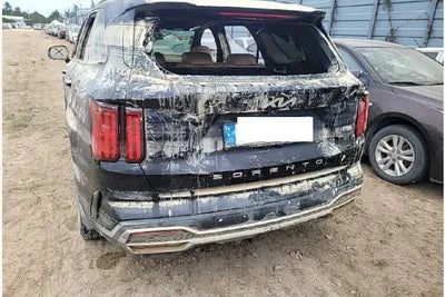 2022 Kia Sorento KNARL81GBNA095448 VIN:KNARL81GBNA095448