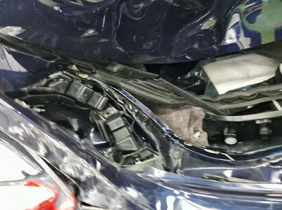 2020 Mercedes-Benz E 300 WDDZF4KB7LA737521 VIN:WDDZF4KB7LA737521