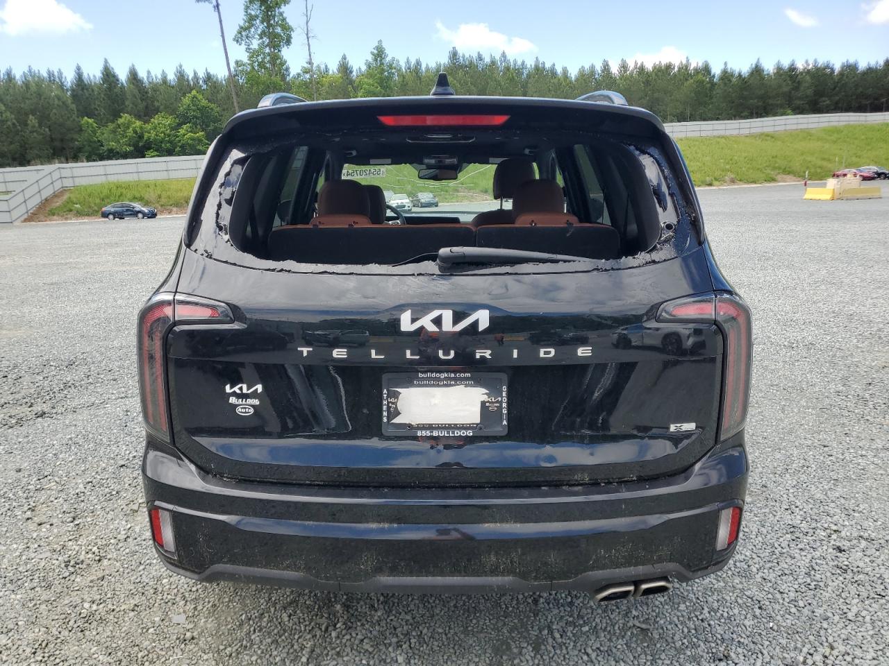 2024 KIA TELLURIDE EX VIN:5XYP3DGC6RG446545