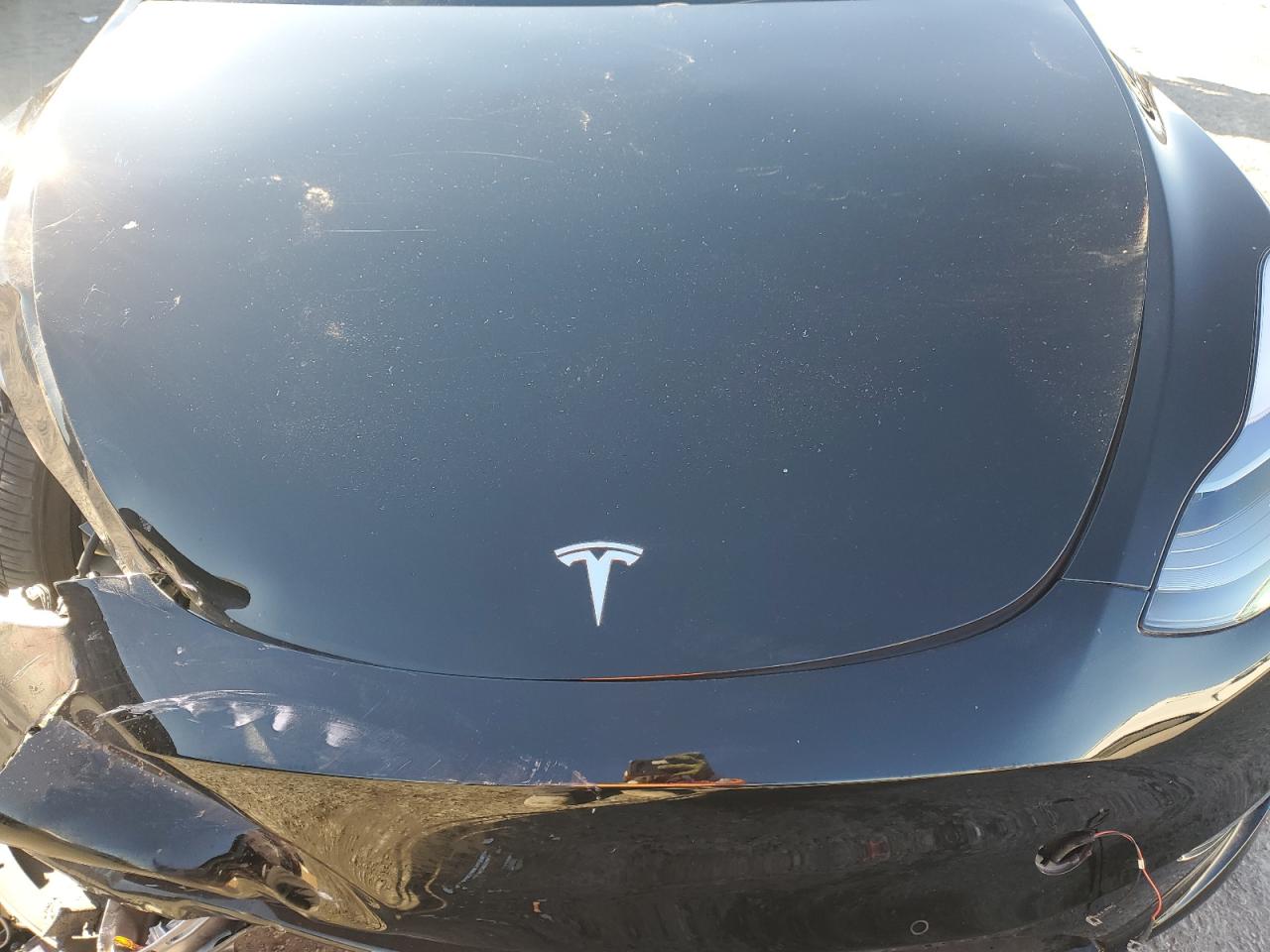 2022 TESLA MODEL Y  VIN:7SAYGDEF7NF456561