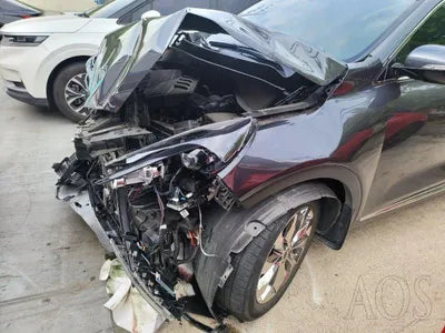 2019 Kia Sorento KNAPS81ABLA607195 VIN:KNAPS81ABLA607195