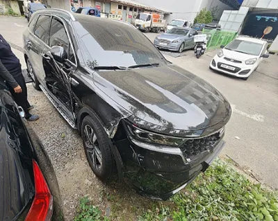 2021 Kia Sorento KNARG81GDMA022435 VIN:KNARG81GDMA022435