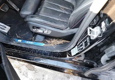 2020 BMW X6 M WBACY8105L9D33488 VIN:WBACY8105L9D33488