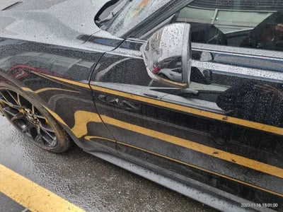 2019 Ford Mustang VIN: