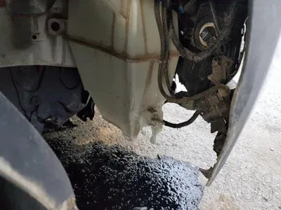 2017 Hyundai Santa FE KMHSW81UDHU736226 VIN:KMHSW81UDHU736226