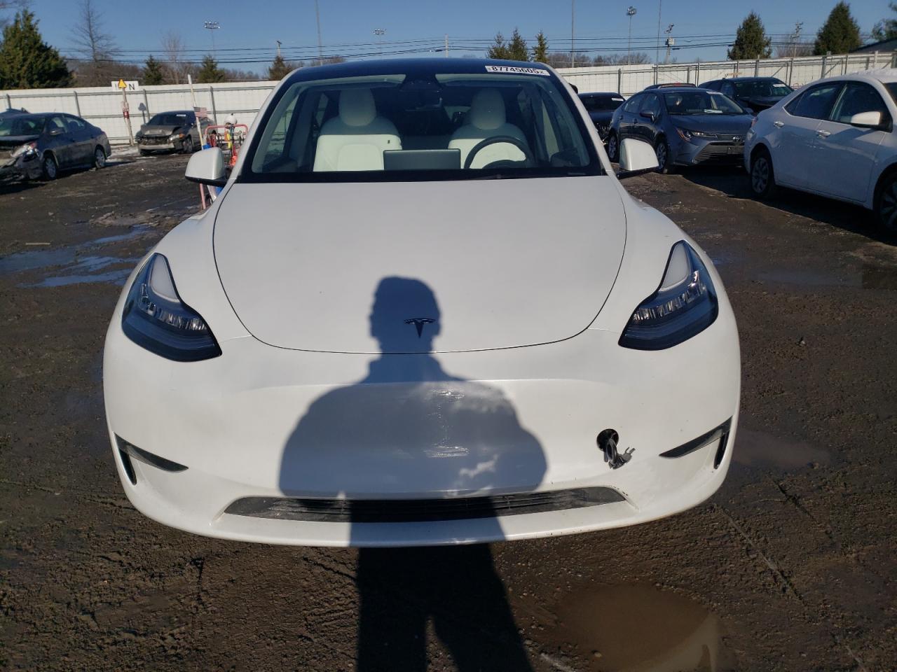 2023 TESLA MODEL Y  VIN:7SAYGDEE7PA105995
