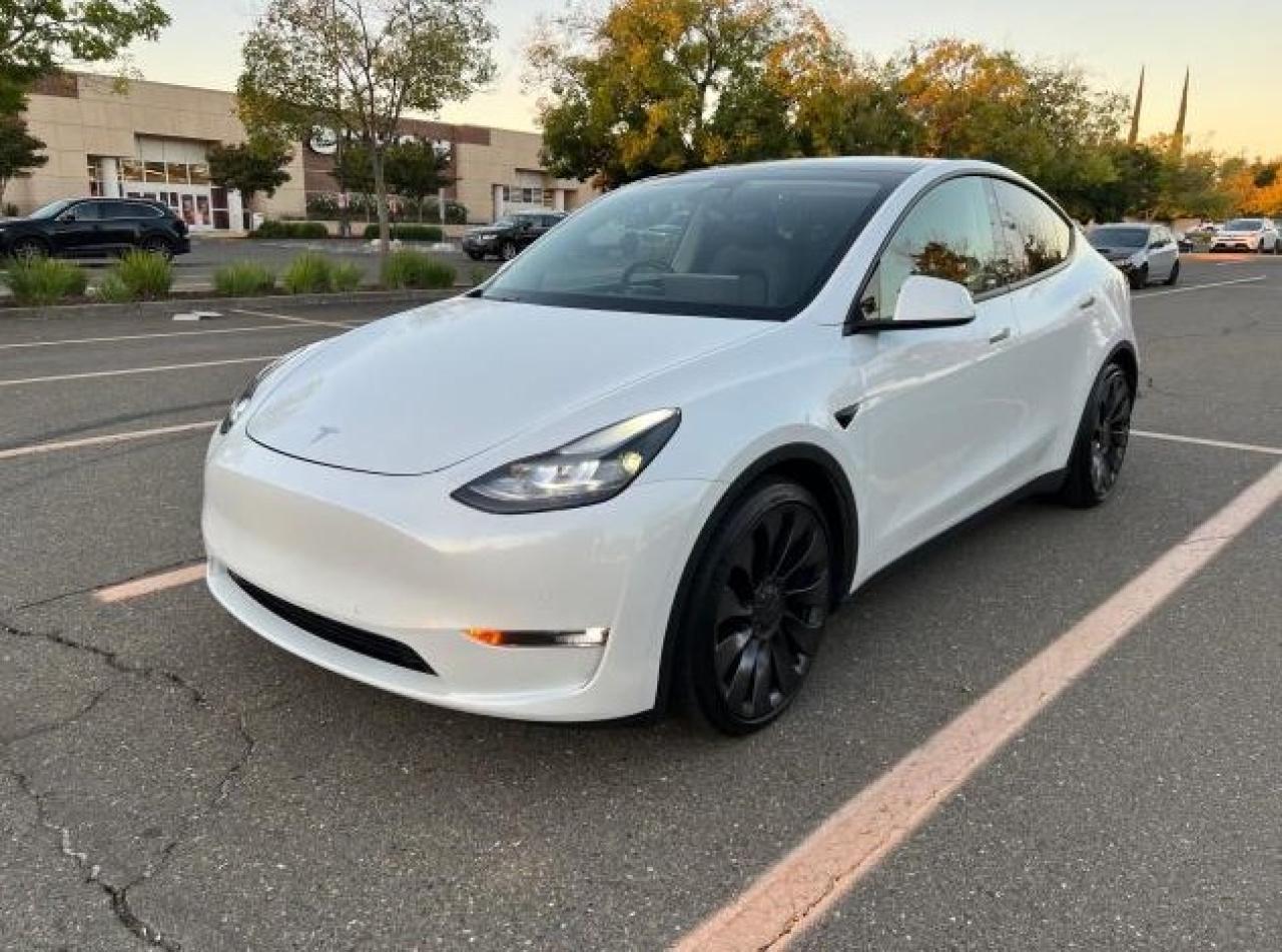 2022 TESLA MODEL Y  VIN:7SAYGDEF6NF343071