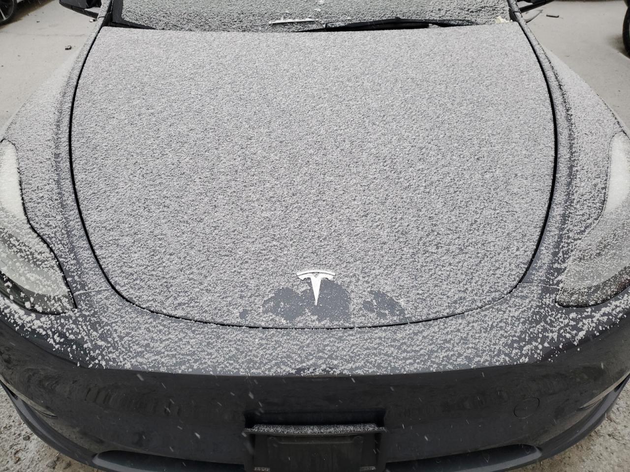 2023 TESLA MODEL Y  VIN:7SAYGDEE9PF685852