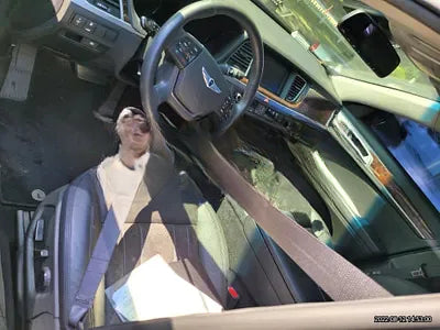 2016 acupuncture nessis 3.3 NONE VIN: