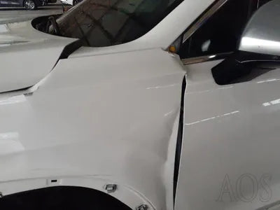 2019 Hyundai Santa FE KMHS581ABLU247207 VIN:KMHS581ABLU247207